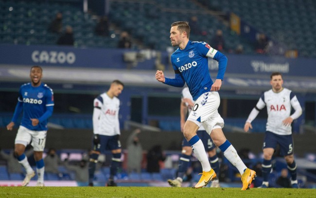 环境适应 环境适应